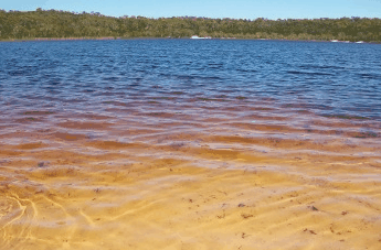 Beach Trekkers North Stradbroke Island - Accommodation Fremantle 1