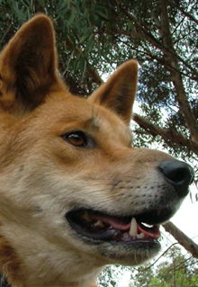 Armadale Reptile & Wildlife Centre - Accommodation Fremantle 5