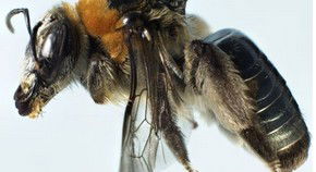 Western Australian Museum - Accommodation Fremantle 0