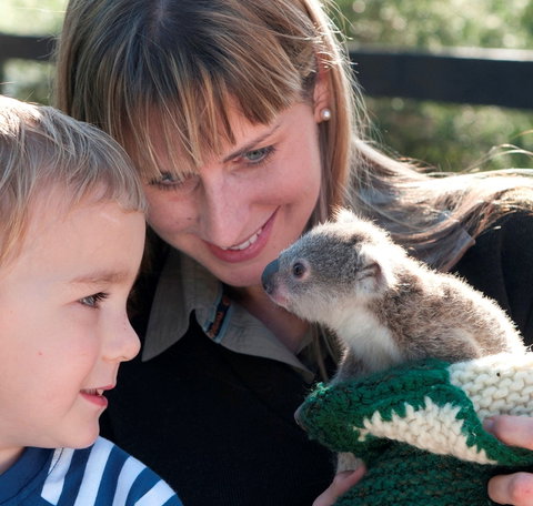 Australian Reptile Park - Accommodation Fremantle 1