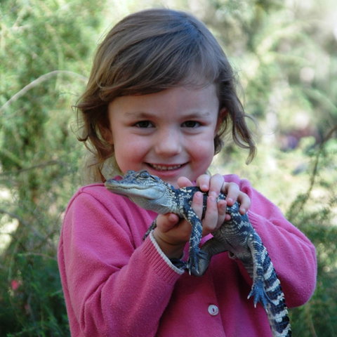 Australian Reptile Park - Accommodation Fremantle 2