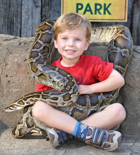 Australian Reptile Park - Accommodation Fremantle 3