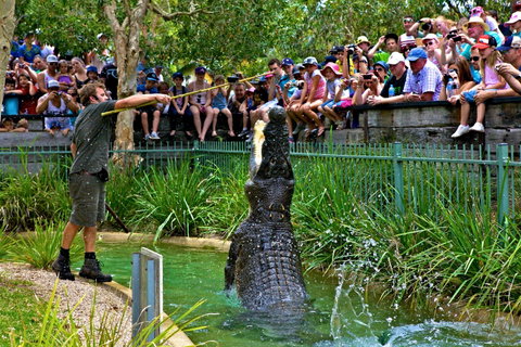 Australian Reptile Park - Accommodation Fremantle 4