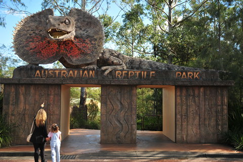 Australian Reptile Park - Accommodation Fremantle 5