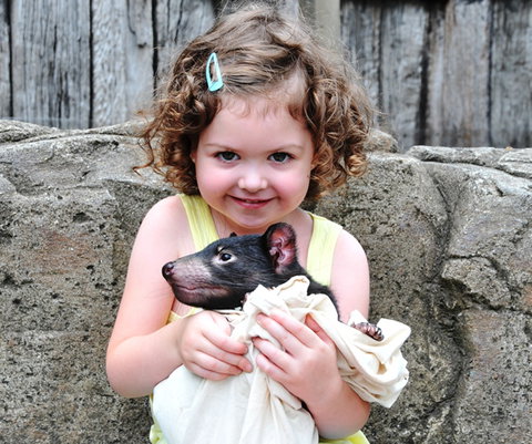 Australian Reptile Park - Accommodation Fremantle 8