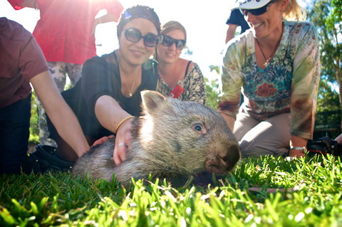 Australian Reptile Park - Accommodation Fremantle 10