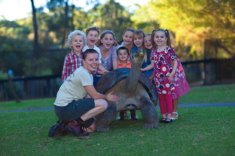 Australian Reptile Park - Accommodation Fremantle 11