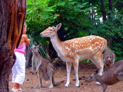 Birdland Animal Park - Accommodation Fremantle 4