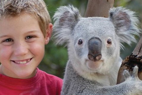 Featherdale Wildlife Park - Accommodation Fremantle 1