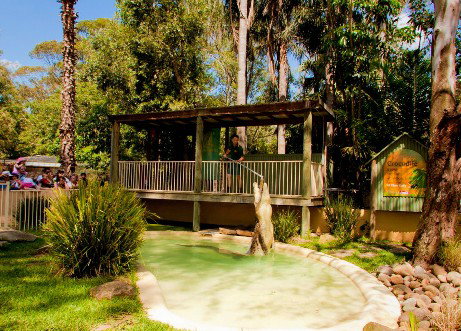 Featherdale Wildlife Park - Accommodation Fremantle 2