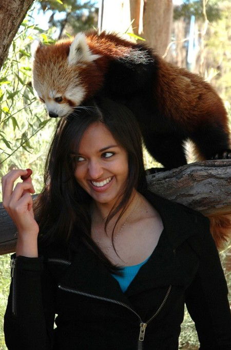 National Zoo & Aquarium - Accommodation Fremantle 8