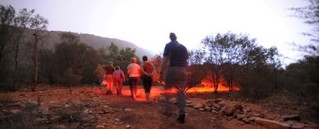 Alice Springs Desert Park - Accommodation Fremantle 4