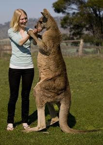 Zoo Doo Wildlife Park - Accommodation Fremantle 5