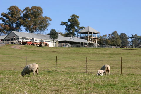 Calmsley Hill City Farm - Accommodation Fremantle 3