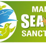 Manly SEA LIFE Sanctuary - Accommodation Fremantle