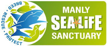 Manly SEA LIFE Sanctuary - Accommodation Fremantle 0
