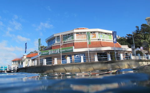 Manly SEA LIFE Sanctuary - Accommodation Fremantle 2
