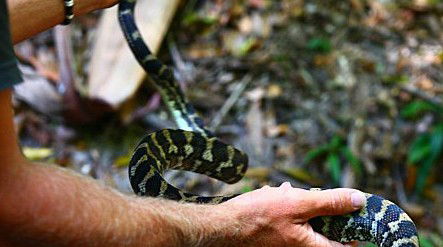 Queensland Day Tours - Accommodation Fremantle 1