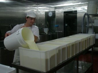 Witches Chase Cheese Co - Accommodation Fremantle 1