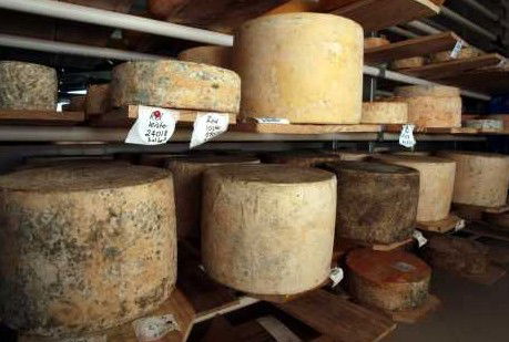 Witches Chase Cheese Co - Accommodation Fremantle 3