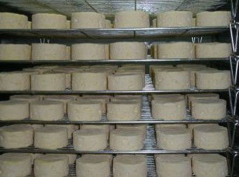 Witches Chase Cheese Co - Accommodation Fremantle 5