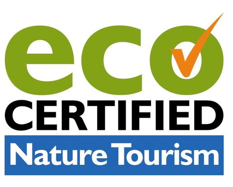 Aquascene Fish Feeding Sanctuary - Accommodation Fremantle 4