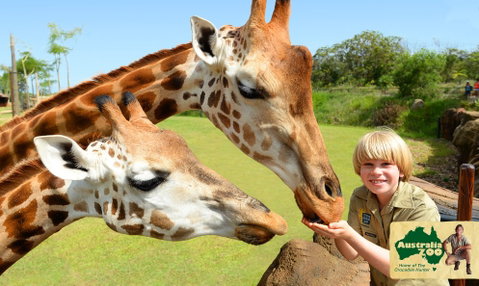 Australia Zoo - Accommodation Fremantle 4