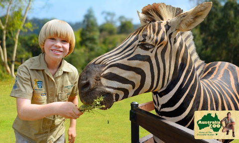 Australia Zoo - Accommodation Fremantle 5