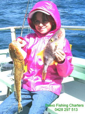 Bravo Fishing Charters - Accommodation Fremantle 5