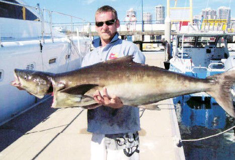 True Blue Fishing Charters - Accommodation Fremantle 0