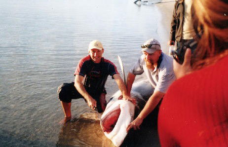True Blue Fishing Charters - Accommodation Fremantle 1