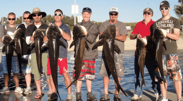 BKs Gold Coast Fishing Charters - Accommodation Fremantle 1
