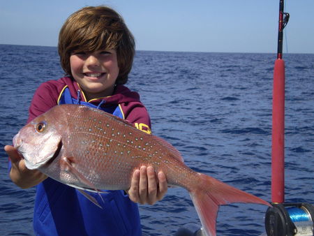 Mills Charters Fishing And Whale Watch Cruises - Accommodation Fremantle 4