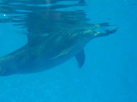 Clarence River BBQ Boats - Accommodation Fremantle 2