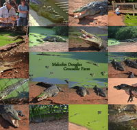 The Malcolm Douglas Crocodile Park - Accommodation Fremantle