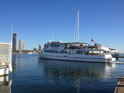 Brisbane Cruises - Accommodation Fremantle 1