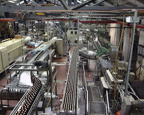 Cascade Brewery Tour - Accommodation Fremantle 2