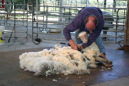 Caversham Wildlife Park - Accommodation Fremantle 3