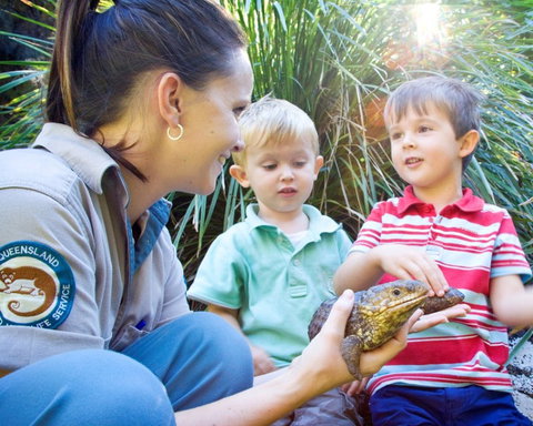 David Fleay Wildlife Park - Accommodation Fremantle 3