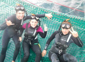 Dolphin Swim Australia - Accommodation Fremantle 7