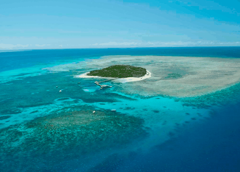 Big Cat Green Island Reef Cruises - Accommodation Fremantle 1