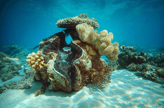 Big Cat Green Island Reef Cruises - Accommodation Fremantle 3