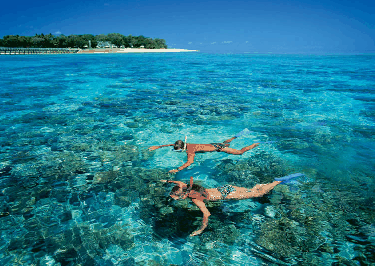 Big Cat Green Island Reef Cruises - Accommodation Fremantle 4