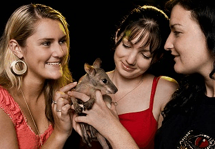 Cairns Night Zoo - Accommodation Fremantle 1