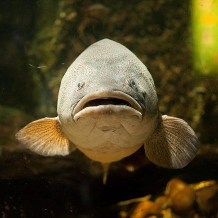 Melbourne Aquarium - Accommodation Fremantle 5