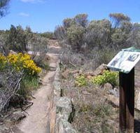Christmas Rock Walk - Accommodation Fremantle