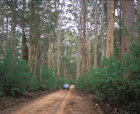 Boranup Drive - Accommodation Fremantle 0
