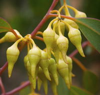 Mount Short Scenic Drive - Accommodation Fremantle