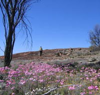 Talgomine Reserve - Accommodation Fremantle