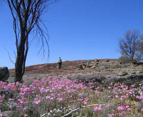 Talgomine Reserve - Accommodation Fremantle 0